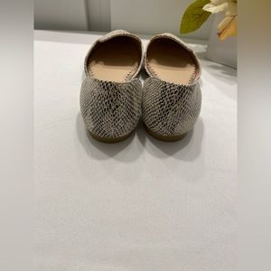 NWOT RESTRICTED  SNAKE SKIN FLAT SHOE | Size 6
